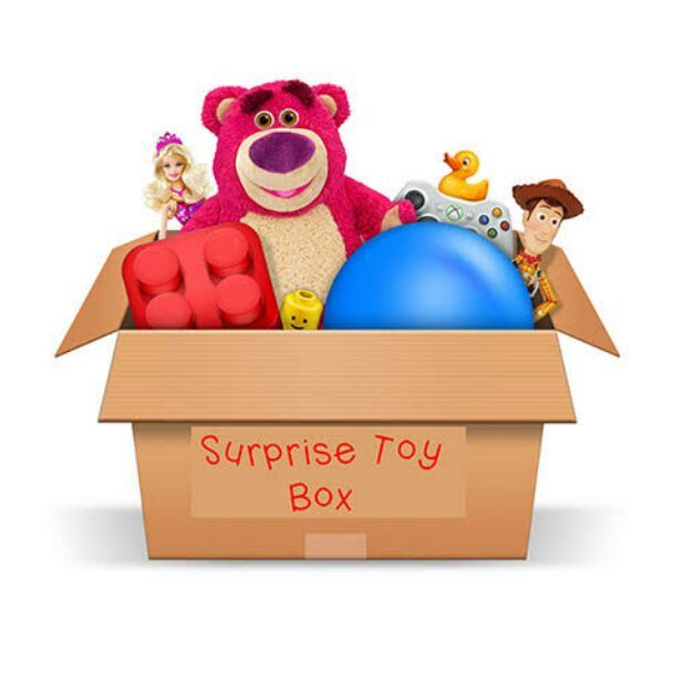 Surprise Mystery Toy Box