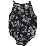 Vignette Kate Bubble | Black Daisy